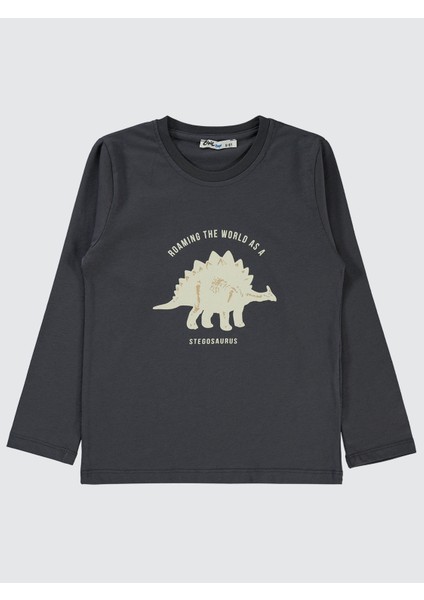 Erkek Çocuk 2'li Sweatshirt 5-13 Yaş modelleri