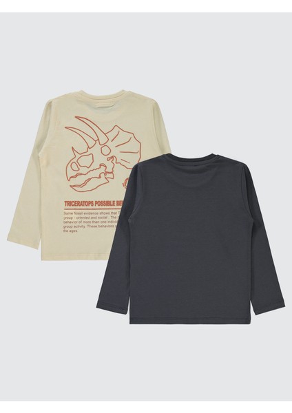 Erkek Çocuk 2'li Sweatshirt 5-13 Yaş fırsatları