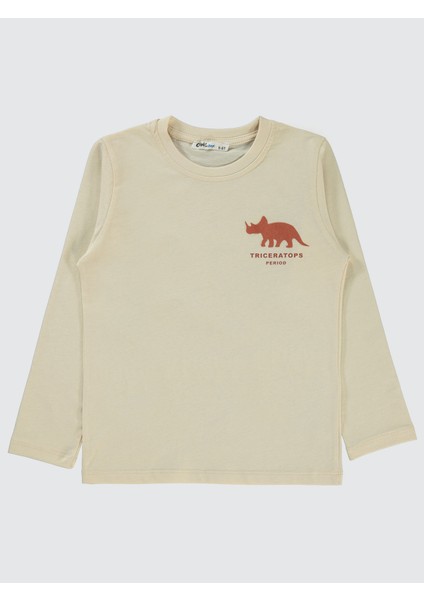 Erkek Çocuk 2'li Sweatshirt 5-13 Yaş indirimleri