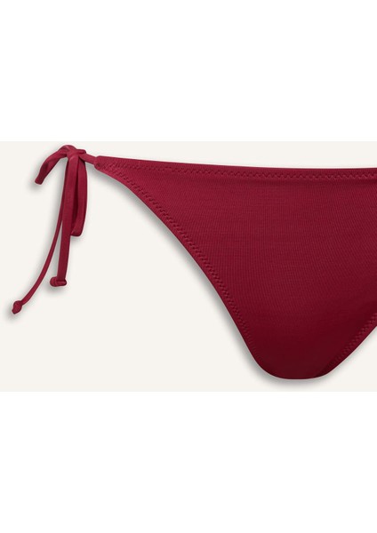 Regular Fit Bikini Altı-Fall in Love T3670AZ25SM