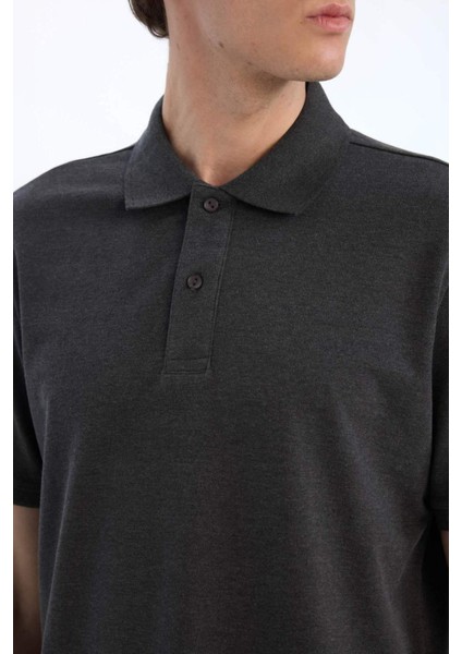 %100 Pamuk Regular Fit Polo Yaka Kısa Kollu Basic Düz Pike Kumaş Tişört C1293AX25SP indirimleri