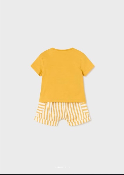 Erkek Bebek Yazlık Tişört Şort Takımı 1253 fiyatları