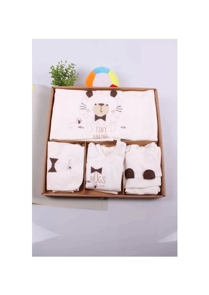 Ayıcık Desenli 10 Parça Kutulu Pamuk Erkek Bebek Hastane Çıkışı fiyatları