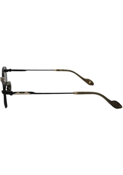 Güneş Gözlüğü Felicita C4 55-19 / Kadın Güneş Gözlüğü fiyatları