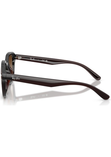 Rb 4458D 714/13 65 Ray-Ban Güneş Gözlüğü fiyatları
