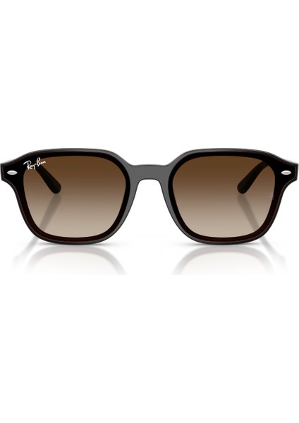 Rb 4458D 714/13 65 Ray-Ban Güneş Gözlüğü indirimleri