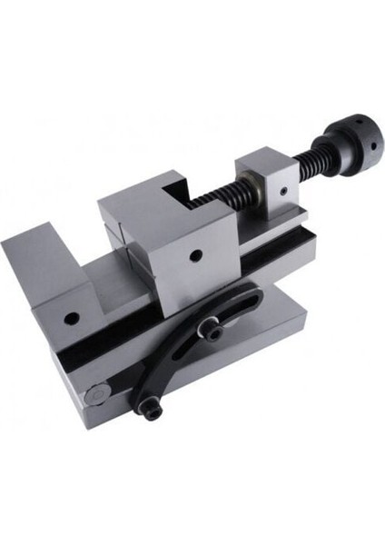73X100 mm Açılı Vidalı Hassas Mengene TQGJ073