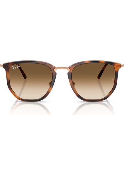Rb 4451 680451 50 Ray-Ban Güneş Gözlüğü
