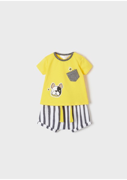 Erkek Bebek Yazlık Tişört Şort 4 Lü Set 1653 fiyatları