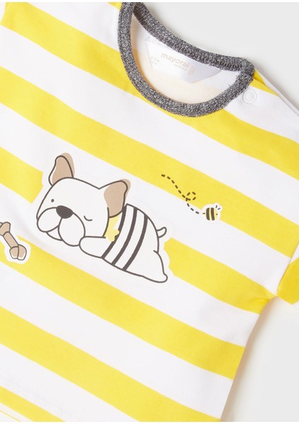 Erkek Bebek Yazlık Tişört Şort 4 Lü Set 1653