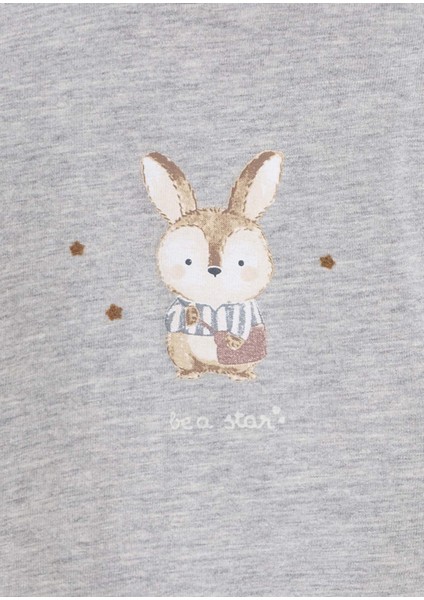 Mayoral Erkek Bebek Uzun Kol 2 Li Tişört Set 2061 fiyatları