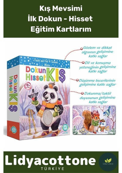 Premium Dikkat Algı Duyusal Görsel Gelişimi Eğlenceli Öğrenme Çocuk Hisset Tanı Kış Eğitim Kartları