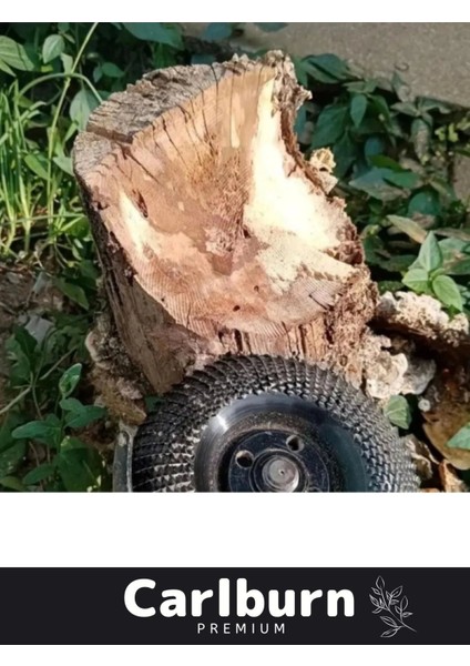 Premium Oyma Şekillendirme Titanyum Kaplama Plastik Kauçuk Oyma Taşlama Makine Uyumlu Ahşap Eğe Disk fırsatları