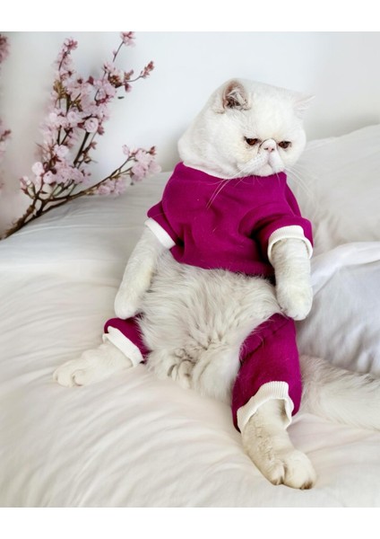 Foxie Polar Kedi Tulum Pijama