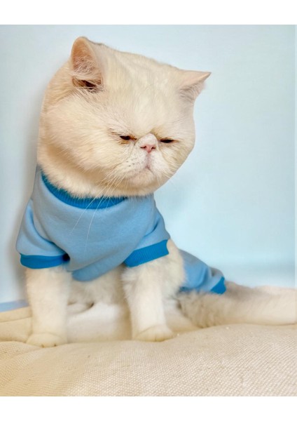 Blue Bunny Kalın Penye Kedi Tulum Pijama