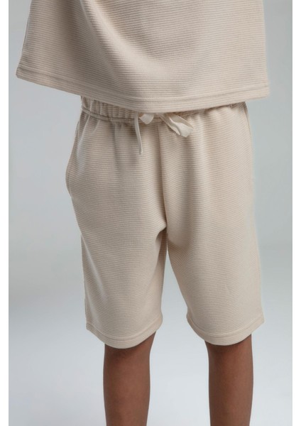 RP3565