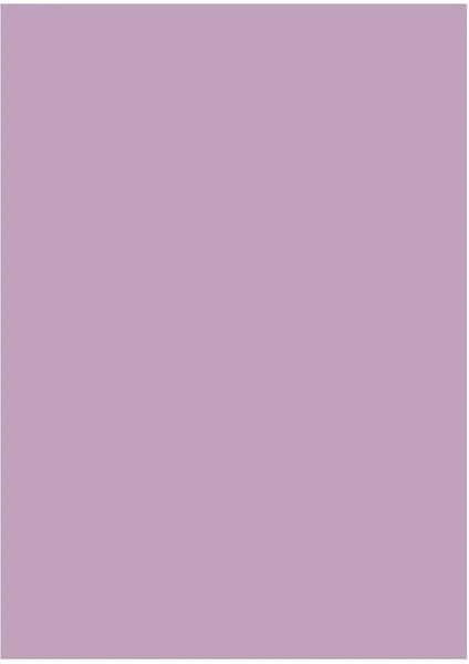 Lila Fon Kartonu 10 Adet (50X70) - (120 Gram )