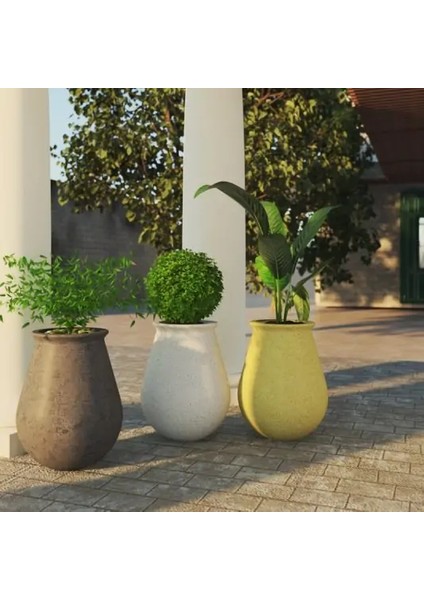 Beton Patı Saksı