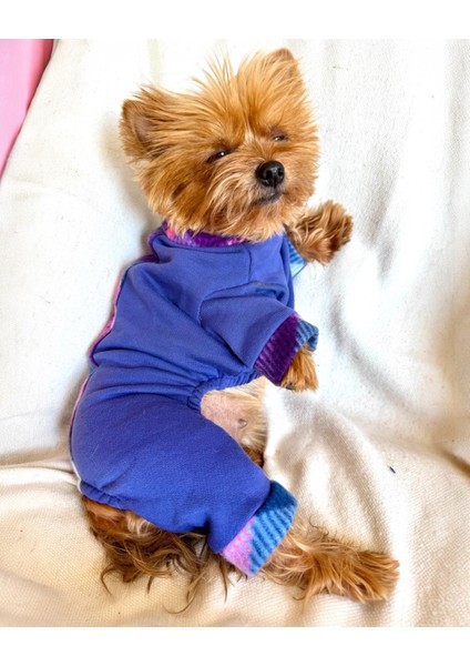Monogram Purp Köpek Tulum Pijama