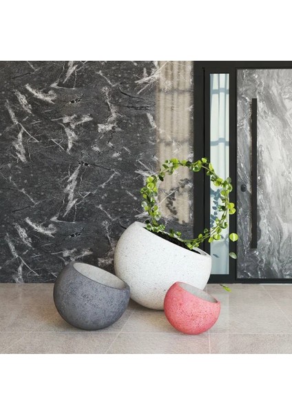 Beton Sakur Saksı