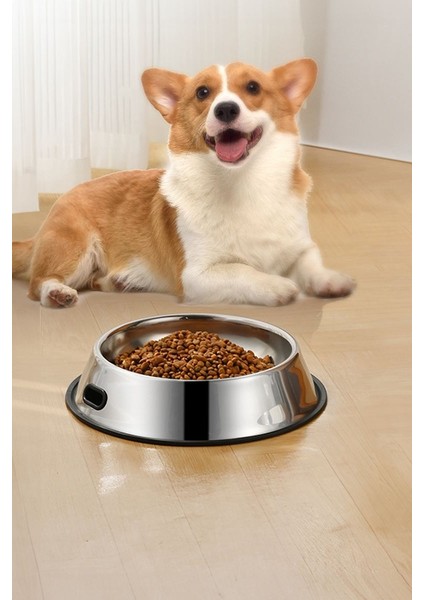 Paslanmaz Çelik 1000 ml Gri Kaymaz Taban Kedi Köpek Mama ve Su Kabı CIN569-26