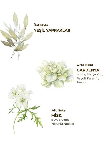 Eyüp Sabri Tuncer Kolonya Pet Şişe Sprey 150 ml Ayvalık Zeytin Çiçeği