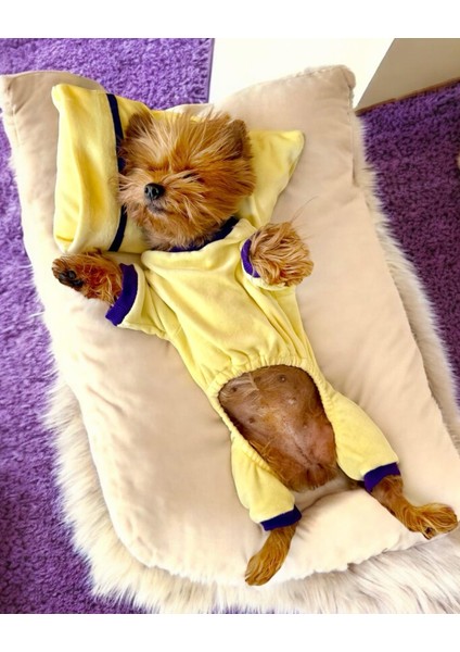 Sunny Teddy Tulum Yastık Takım Uyku Set Köpek Tulum Elbise