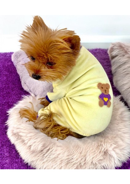 Sunny Teddy Tulum Yastık Takım Uyku Set Köpek Tulum Elbise modelleri