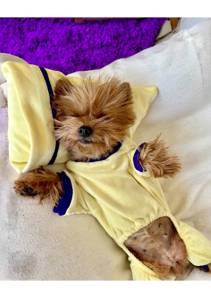 Sunny Teddy Tulum Yastık Takım Uyku Set Köpek Tulum Elbise indirimleri
