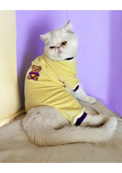 Sunny Teddy Kedi Tulum Pijama