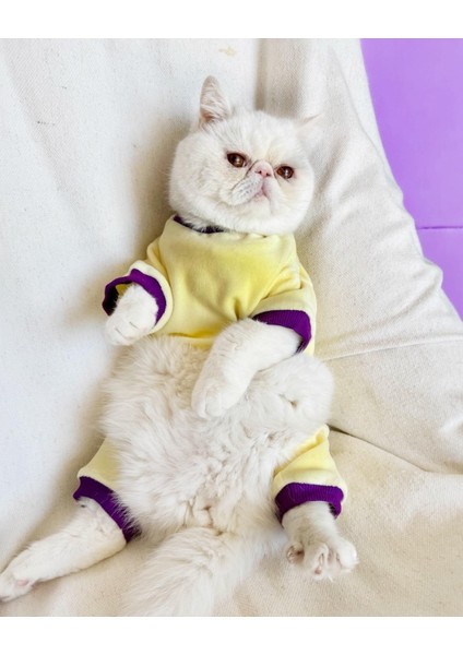 Sunny Teddy Kedi Tulum Pijama fiyatları
