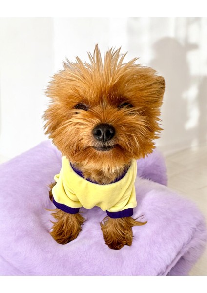 Sunny Teddy Köpek Tulum Pijama fırsatları