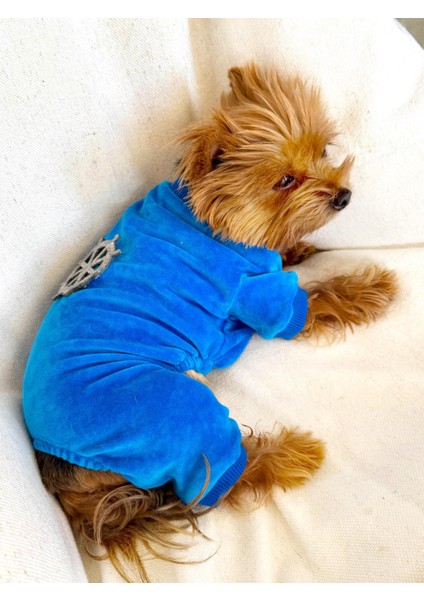 Blue Seas Köpek Tulum Pijama
