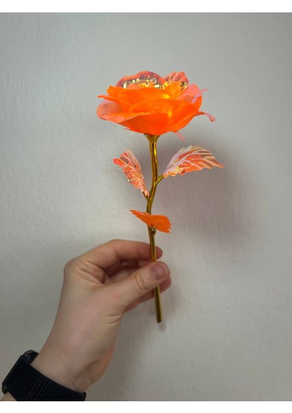 1 Adet Solmayan Gül, Turuncu Gül, Yapay Gül, Sonsuzluk Gülü, Sevgililer Günü Hediyesi modelleri