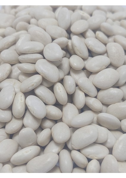 Kuru Fasulye 1 kg Dermason