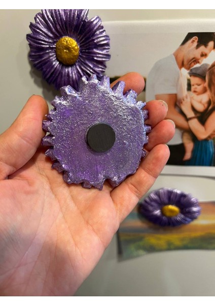 Mor Çiçek Magnet Seti, Papatya Magnet, 4lü Magnet Seti fırsatları