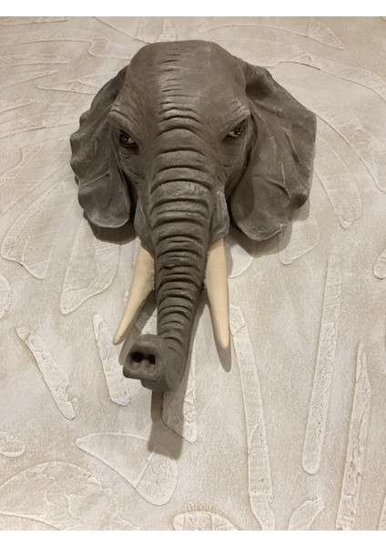 Fil Duvar Küçük fırsatları