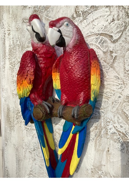 Papağan Ikili Macaw