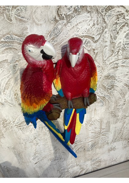 Papağan Ikili Macaw fırsatları