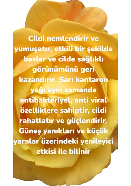 Cilton Sarı Kantaron Yağı 20 ml