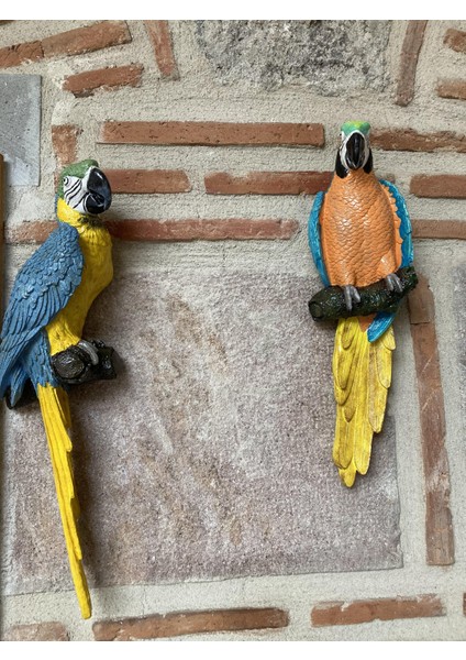 Papagan Ikili Ayrık Macaw