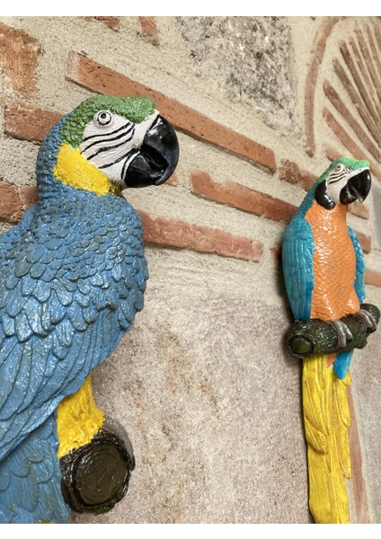 Papagan Ikili Ayrık Macaw fiyatları