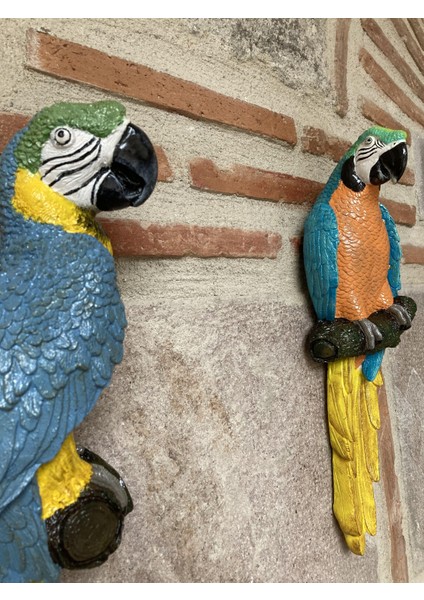 Papagan Ikili Ayrık Macaw modelleri