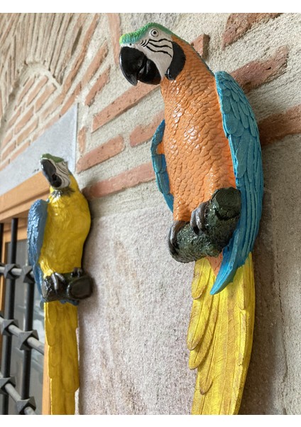 Papagan Ikili Ayrık Macaw fırsatları