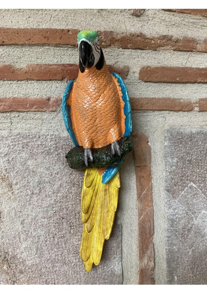 Papagan Ikili Ayrık Macaw indirimleri