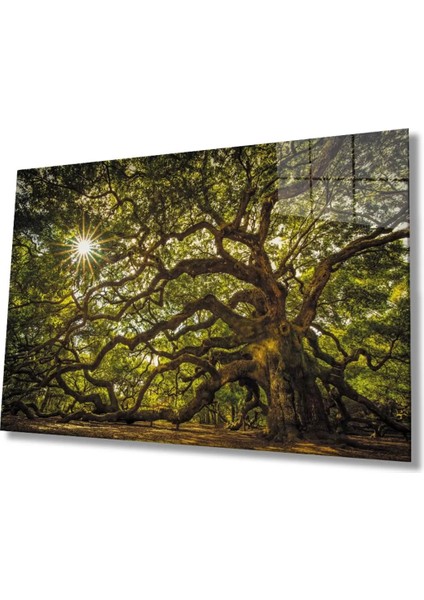 Ağaç Orman Güneş Yeşil Cam Tablo, Ev ve Ofis Duvar Dekoru
