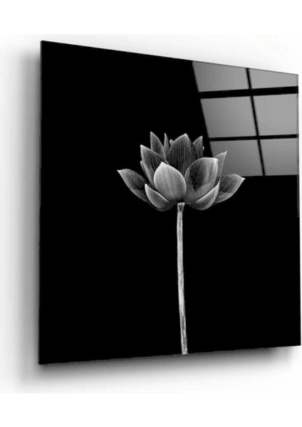 Çiçek Cam Tablo fiyatları