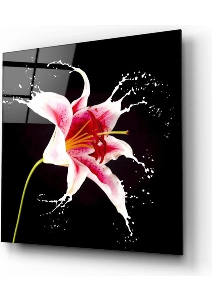 Çiçek Cam Tablo fiyatları