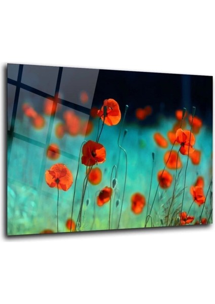 Gelincik Çiçekler Cam Tablo Duvar Dekarasyonu fırsatları