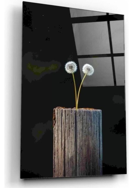 Karahindiba Cam Tablo